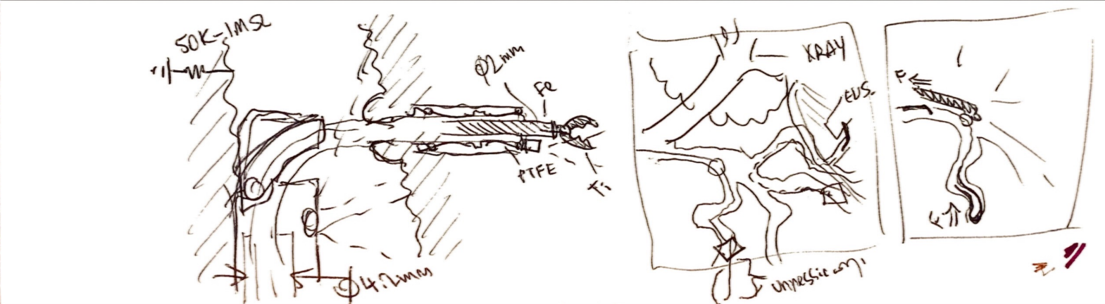 Ideation sketches — actuator geometry and anatomical context